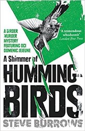 A Shimmer of Hummingbirds 